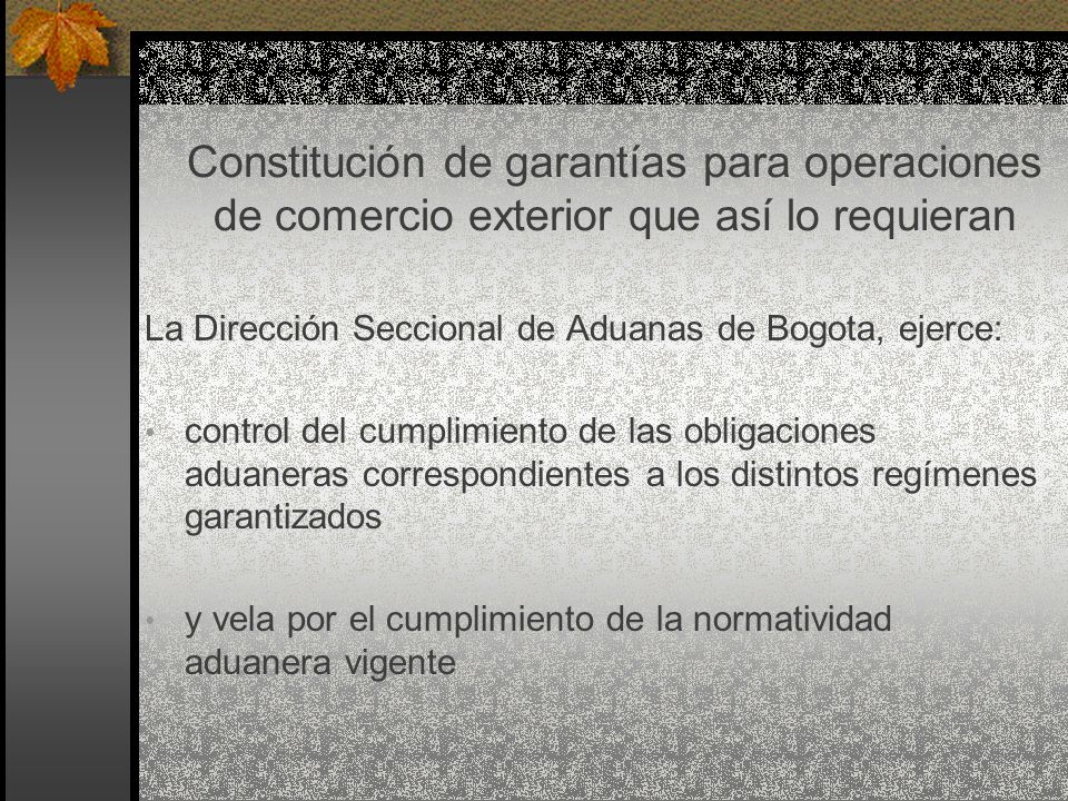 Constitución de garantías para operaciones de comercio exterior que así lo requieran
