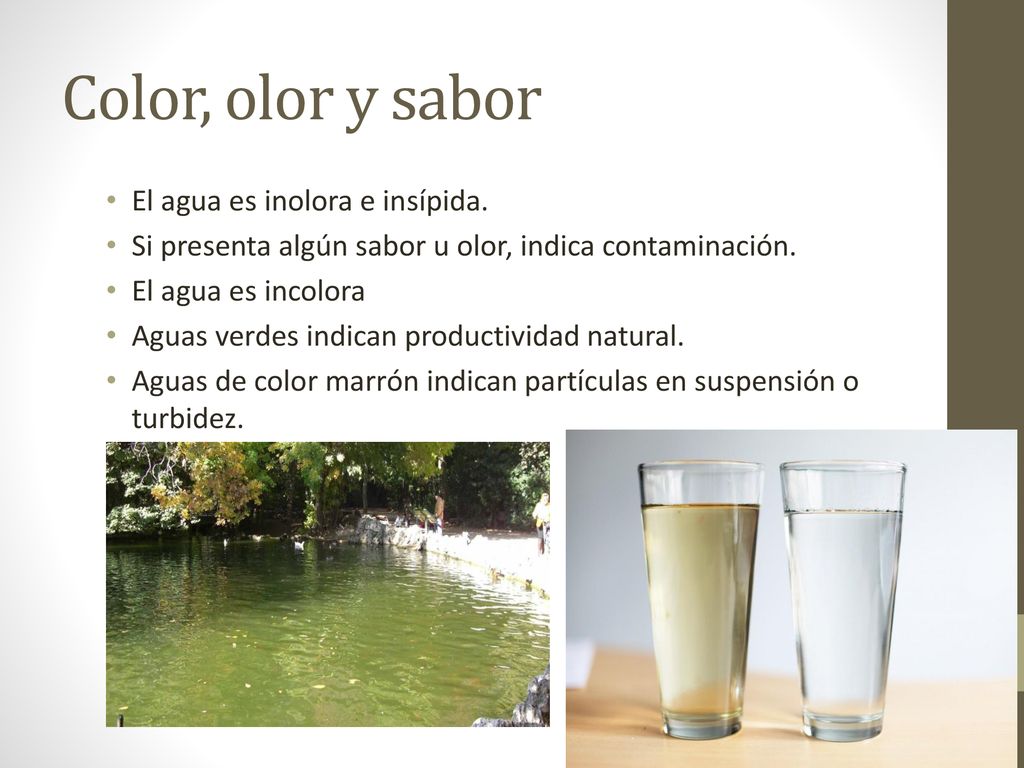 Color, olor y sabor El agua es inolora e insípida.
