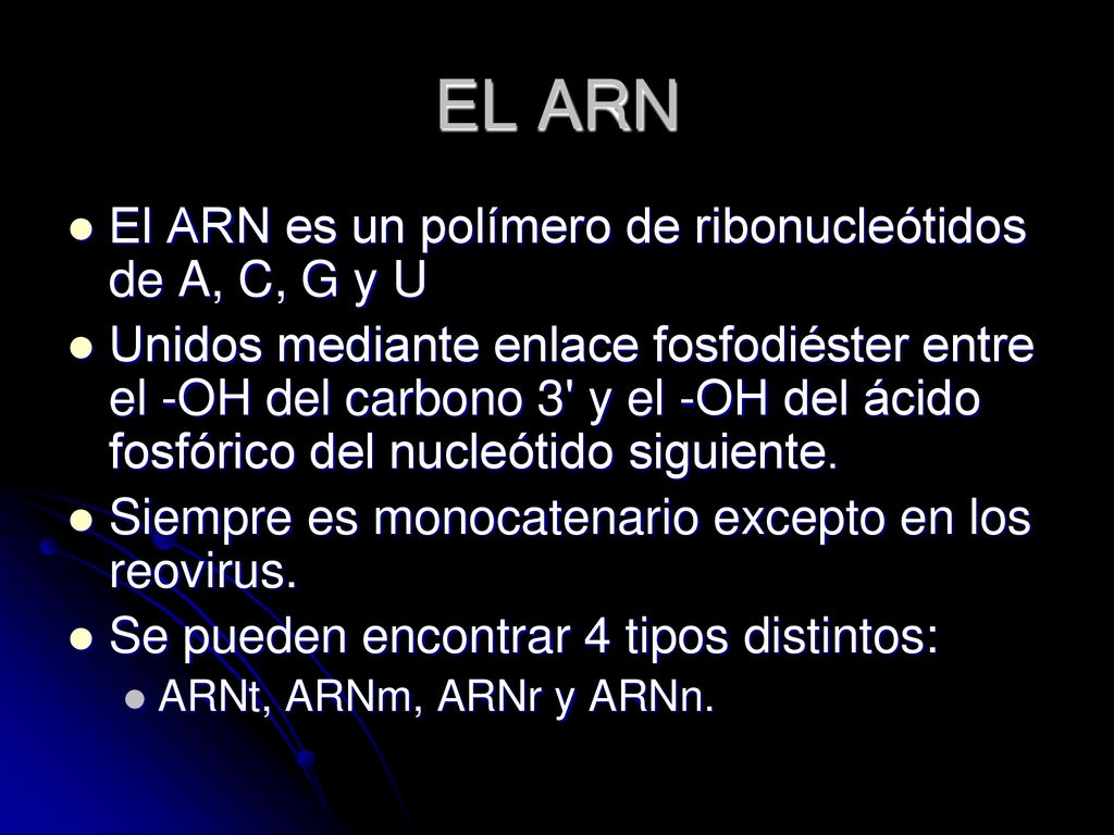 EL ARN El ARN es un polímero de ribonucleótidos de A, C, G y U