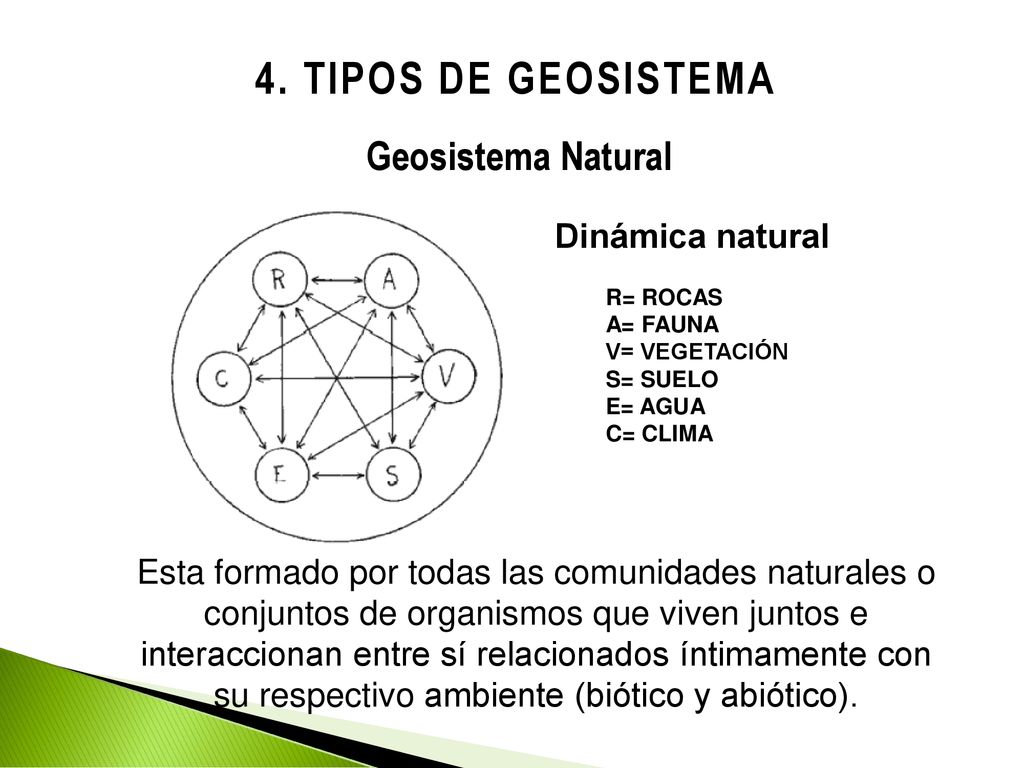 4. TIPOS DE GEOSISTEMA Geosistema Natural Dinámica natural