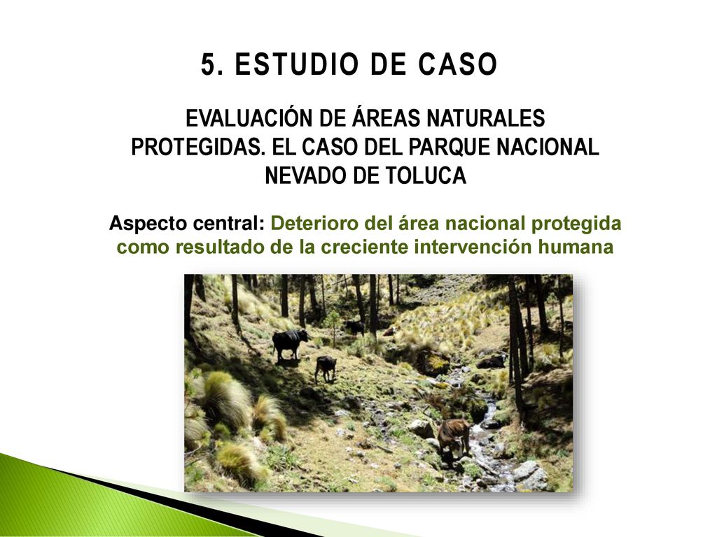 EVALUACIÓN DE ÁREAS NATURALES PROTEGIDAS. EL CASO DEL PARQUE NACIONAL