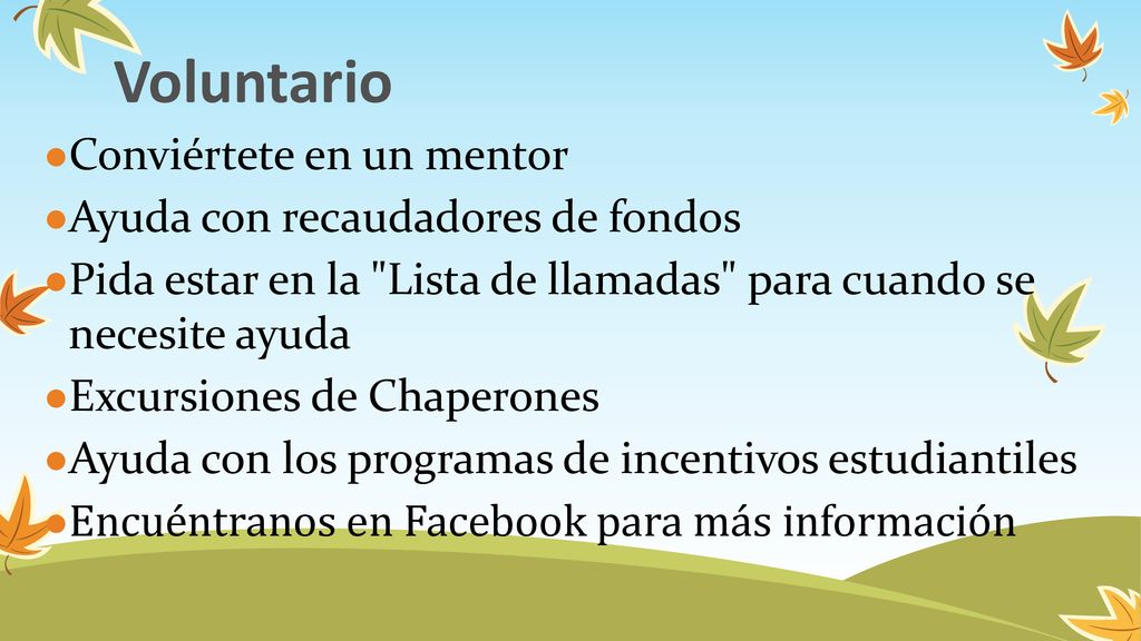 Voluntario Conviértete en un mentor Ayuda con recaudadores de fondos