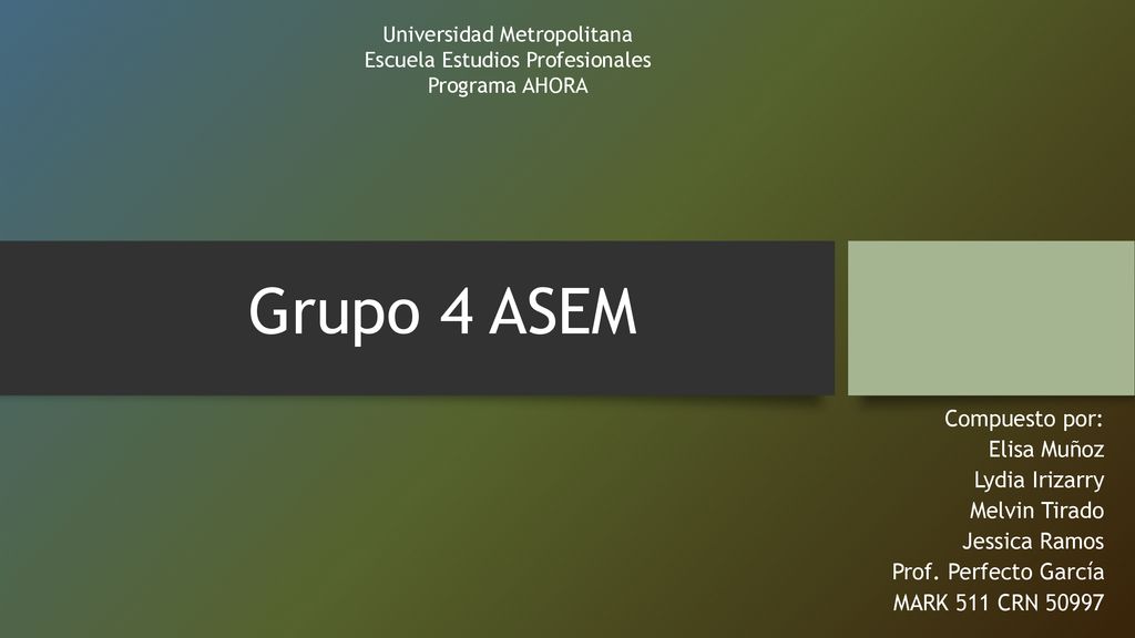 Grupo 4 ASEM Compuesto por: Elisa Muñoz Lydia Irizarry Melvin Tirado