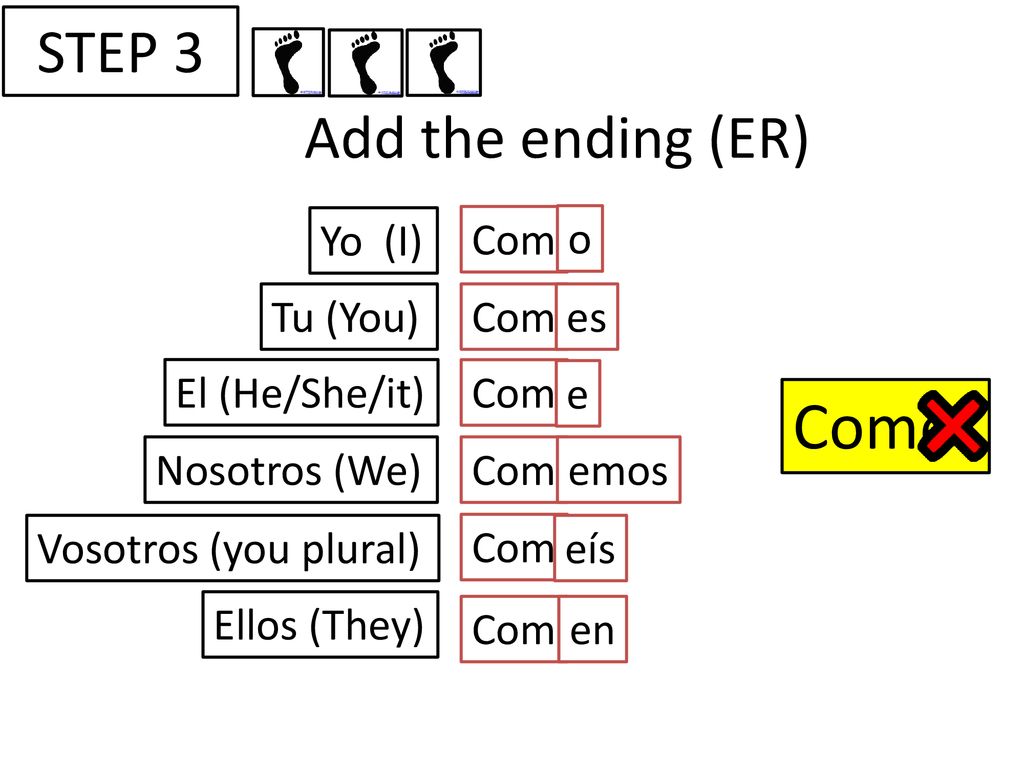 Comer STEP 3 Add the ending (ER) Yo (I) Com o Tu (You) Com es