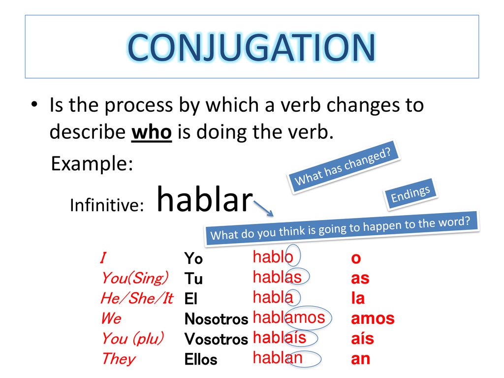 CONJUGATION Is the process by which a verb changes to describe who is doing the verb. Example: What has changed