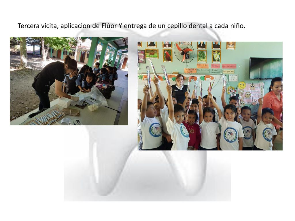Tercera vicita, aplicacion de Flúor Y entrega de un cepillo dental a cada niño.