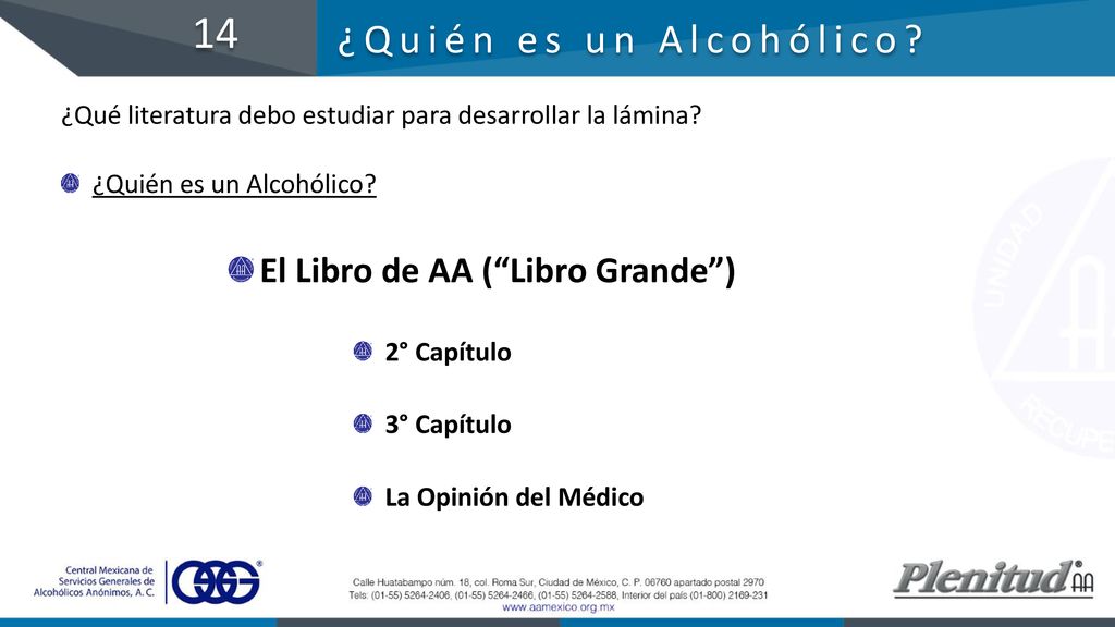 14 ¿Quién es un Alcohólico El Libro de AA ( Libro Grande )