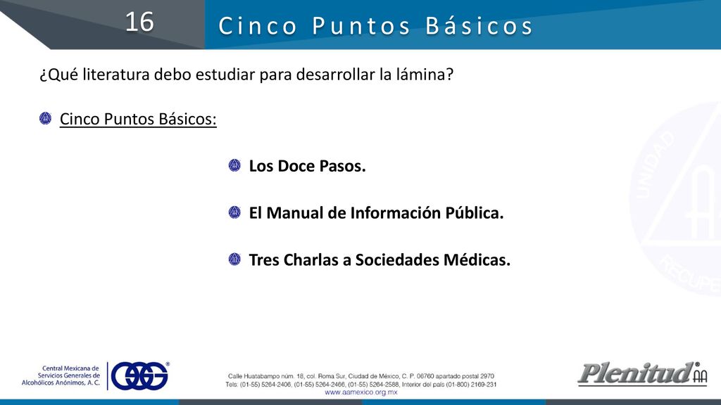 16 Cinco Puntos Básicos. ¿Qué literatura debo estudiar para desarrollar la lámina Cinco Puntos Básicos: