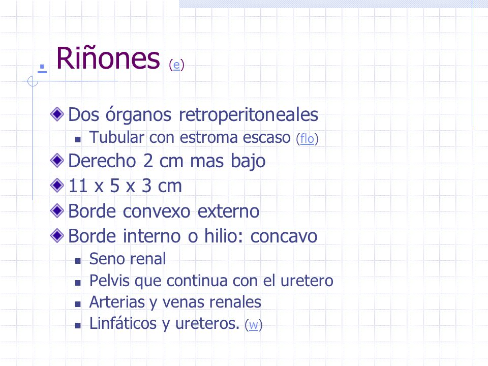 . Riñones (e) Dos órganos retroperitoneales Derecho 2 cm mas bajo