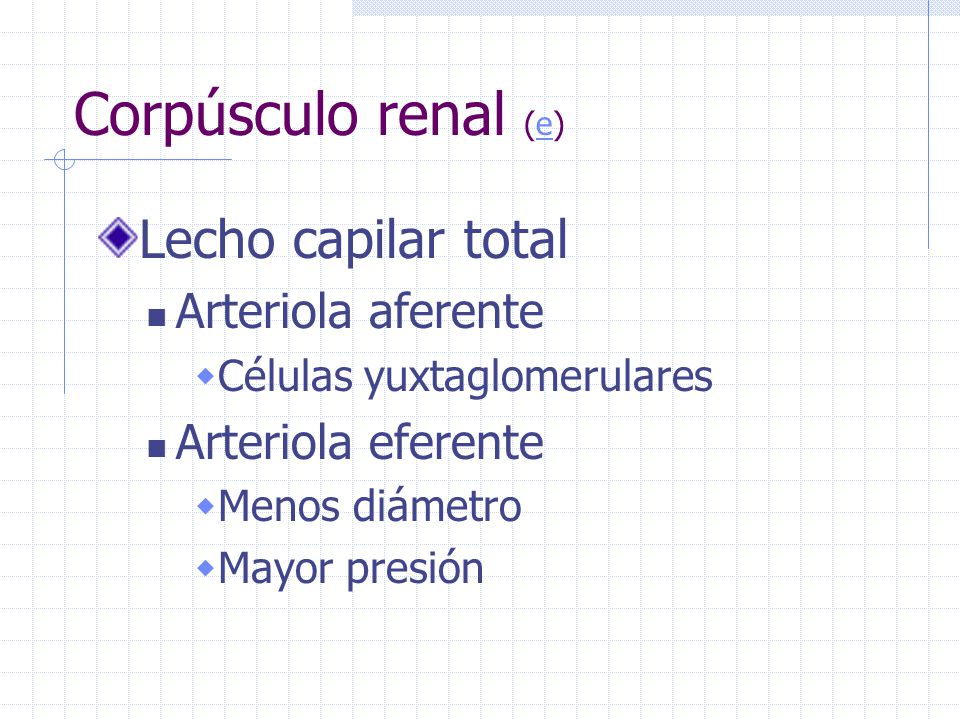 Corpúsculo renal (e) Lecho capilar total Arteriola aferente