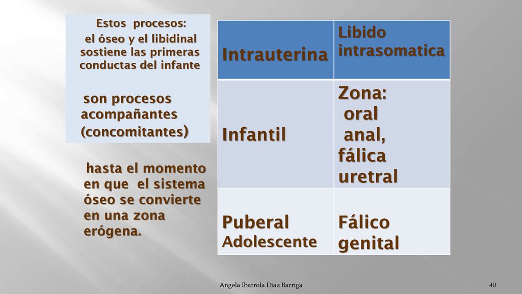 el óseo y el libidinal sostiene las primeras conductas del infante