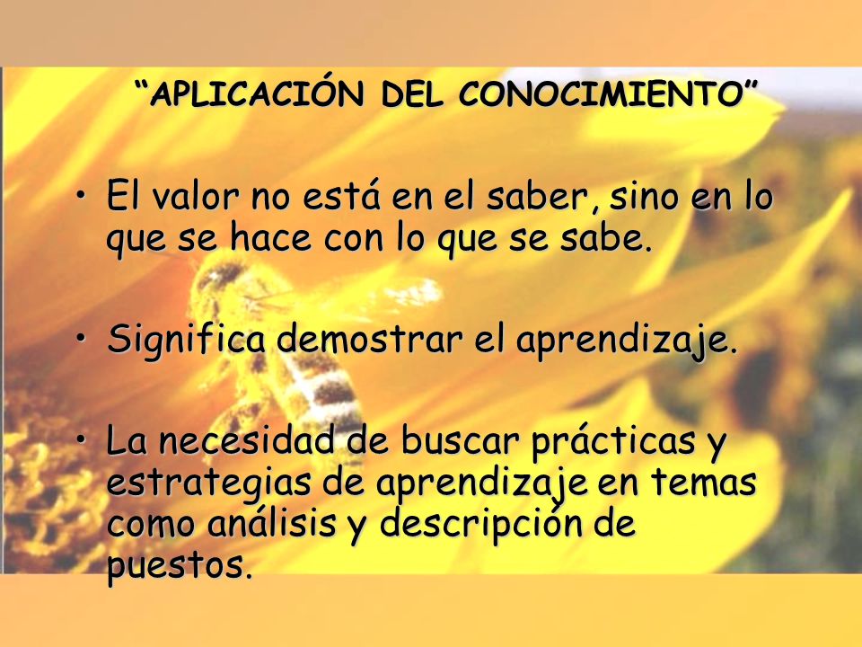 APLICACIÓN DEL CONOCIMIENTO