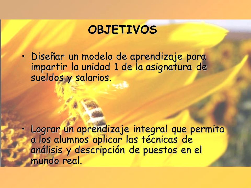 OBJETIVOS Diseñar un modelo de aprendizaje para impartir la unidad 1 de la asignatura de sueldos y salarios.