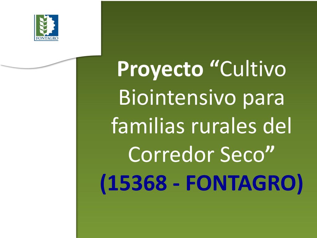 Proyecto Cultivo Biointensivo para familias rurales del Corredor Seco ( FONTAGRO)