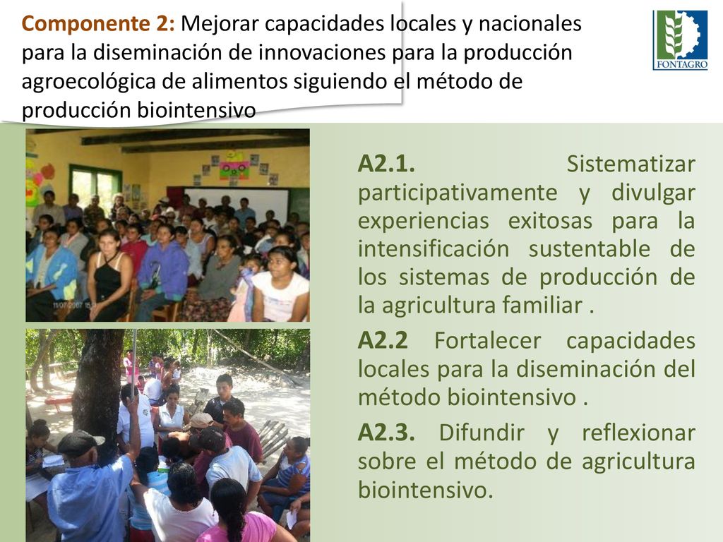 Componente 2: Mejorar capacidades locales y nacionales para la diseminación de innovaciones para la producción agroecológica de alimentos siguiendo el método de producción biointensivo