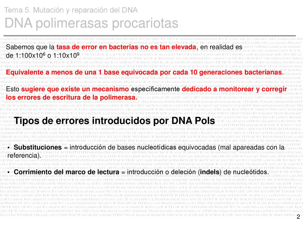 Tipos de errores introducidos por DNA Pols