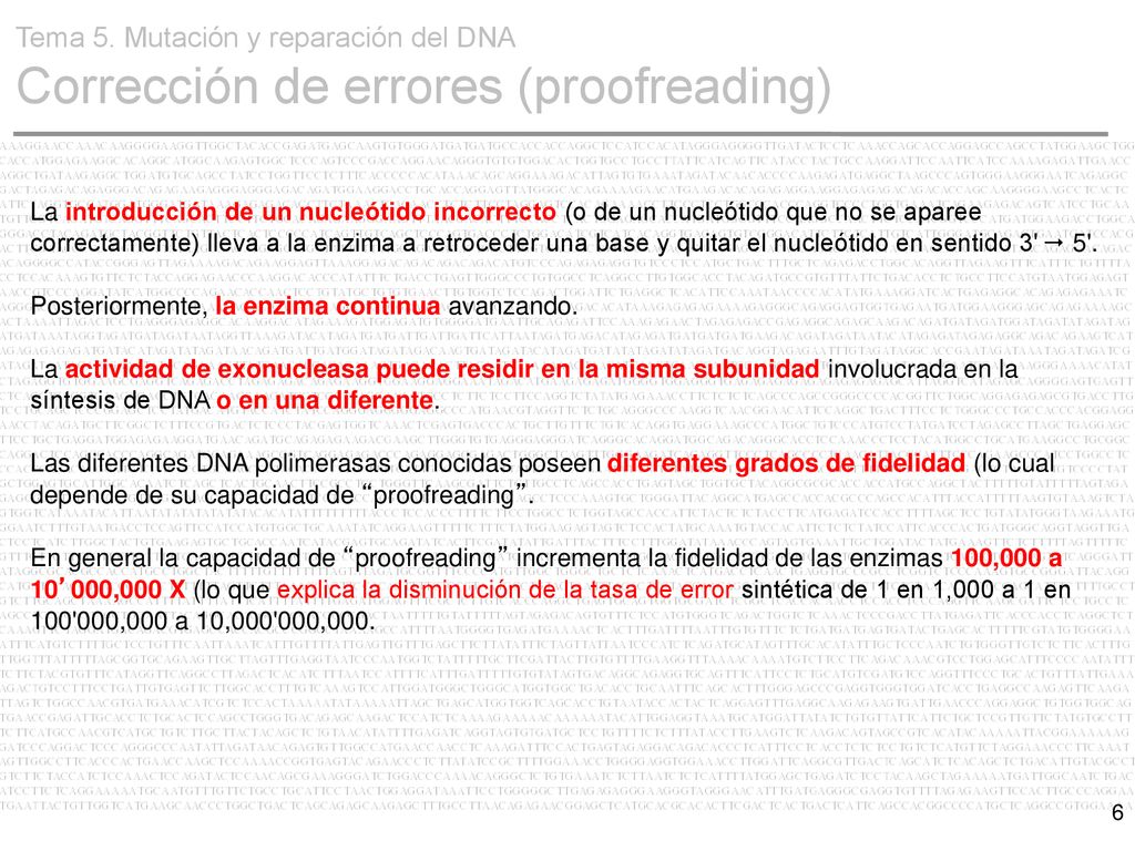 Tema 5. Mutación y reparación del DNA Corrección de errores (proofreading)