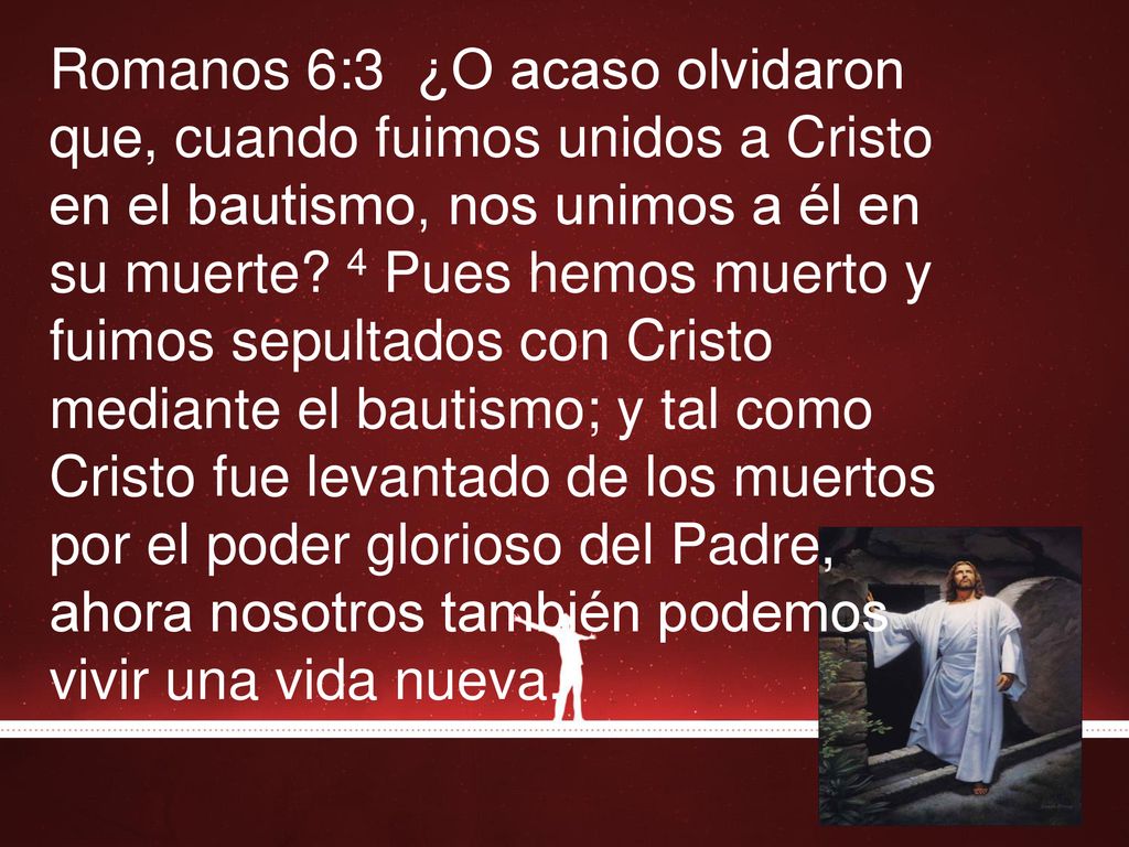 Romanos 6:3 ¿O acaso olvidaron que, cuando fuimos unidos a Cristo en el bautismo, nos unimos a él en su muerte.