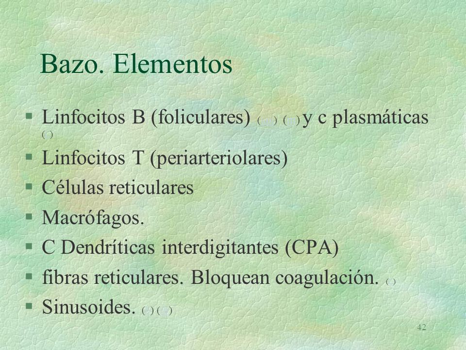 Bazo. Elementos Linfocitos B (foliculares) (um) (m) y c plasmáticas (L) Linfocitos T (periarteriolares)