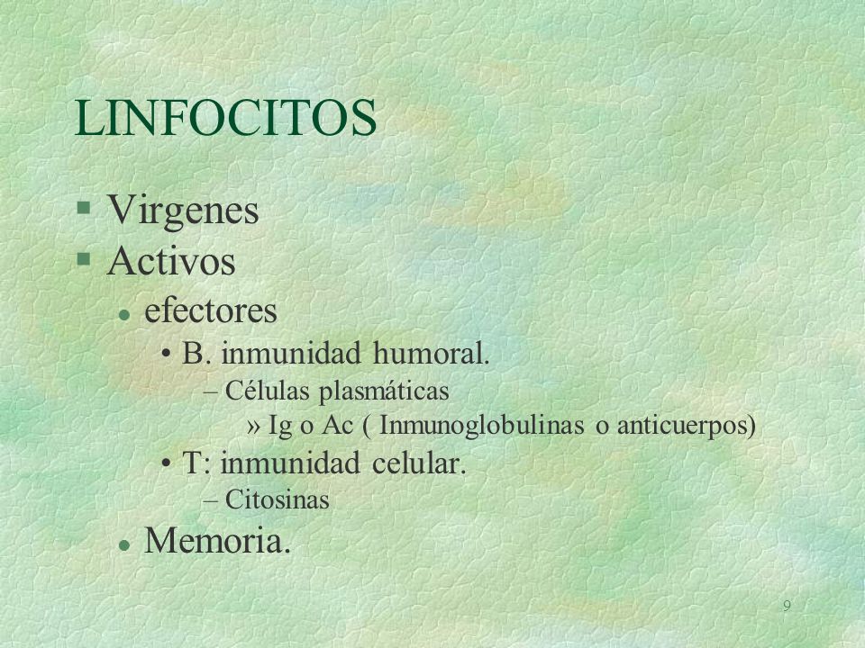 LINFOCITOS Virgenes Activos efectores Memoria. B. inmunidad humoral.