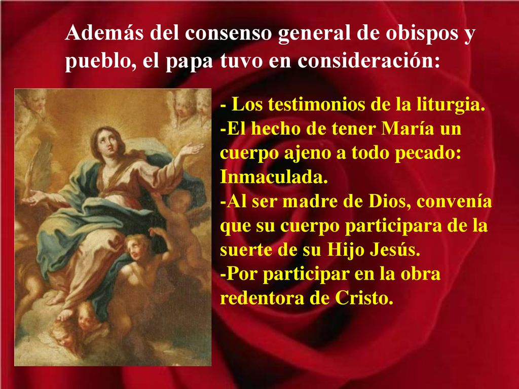 Además del consenso general de obispos y pueblo, el papa tuvo en consideración: