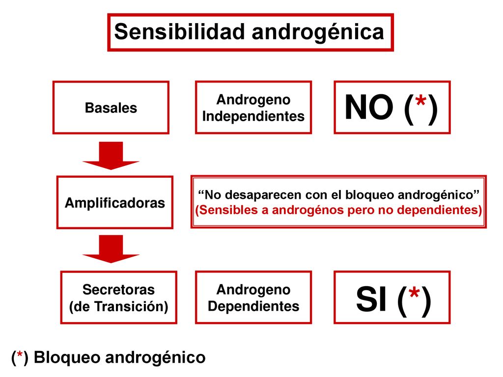 NO (*) SI (*) Sensibilidad androgénica (*) Bloqueo androgénico Basales