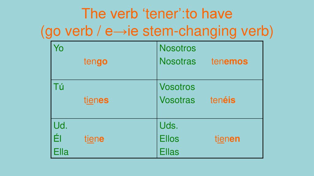 The verb ‘tener’:to have (go verb / e→ie stem-changing verb)