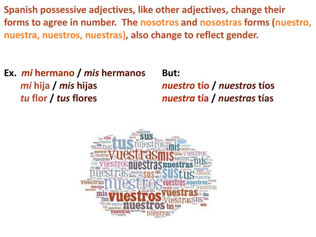 Spanish possessive adjectives, like other adjectives, change their forms to agree in number. The nosotros and nosostras forms (nuestro, nuestra, nuestros, nuestras), also change to reflect gender.