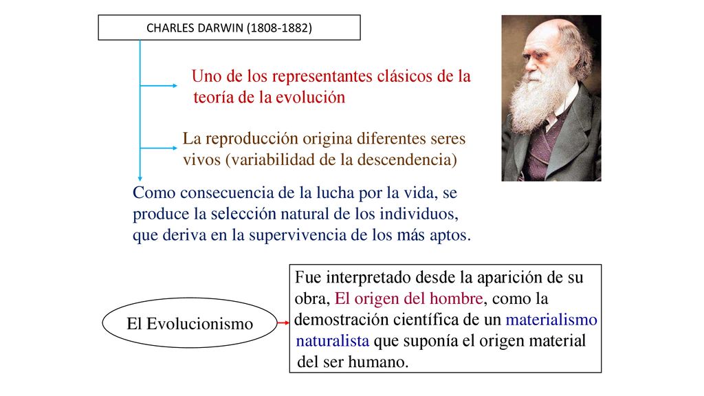 Uno de los representantes clásicos de la teoría de la evolución