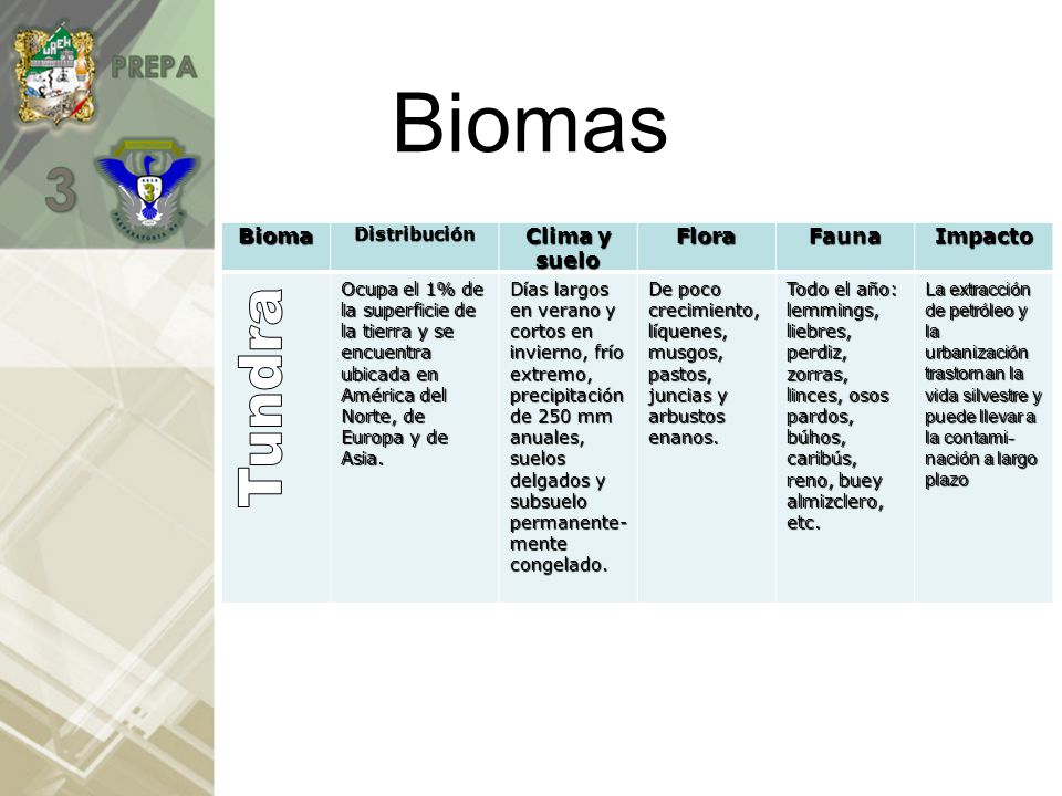 Biomas Tundra Bioma Clima y suelo Flora Fauna Impacto Distribución