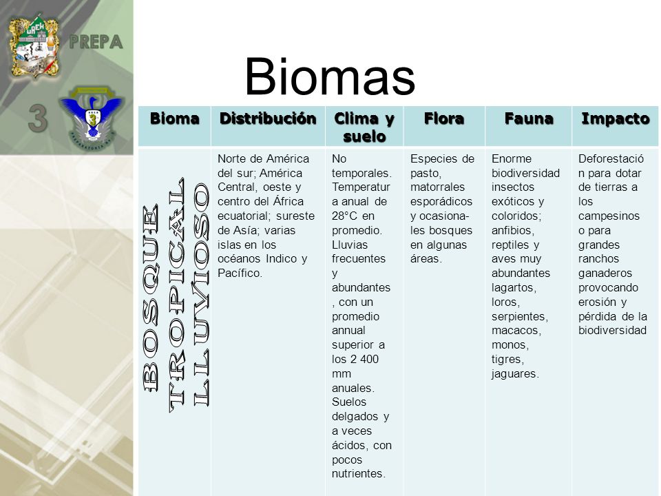 Biomas Bioma Distribución Clima y suelo Flora Fauna Impacto