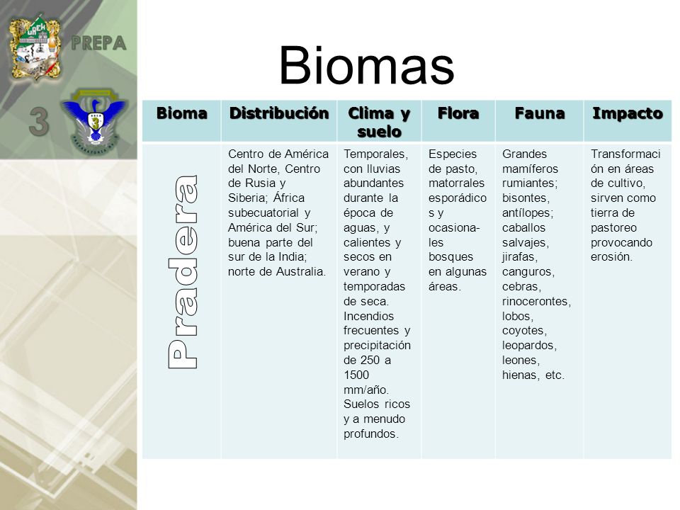 Biomas Pradera Bioma Distribución Clima y suelo Flora Fauna Impacto