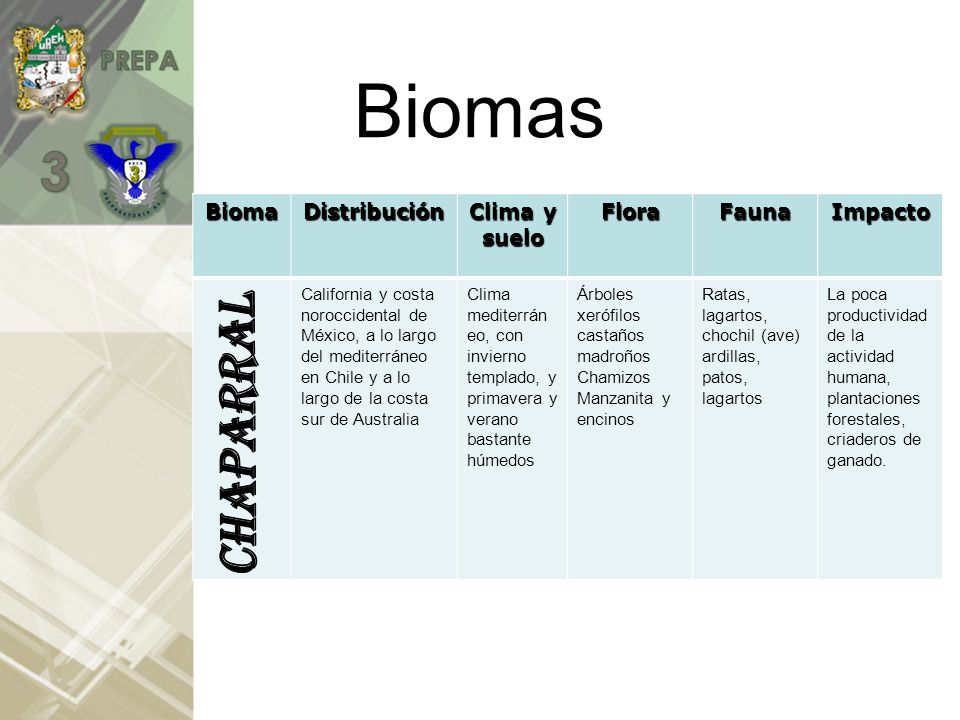 Biomas CHAPARRAL Bioma Distribución Clima y suelo Flora Fauna Impacto