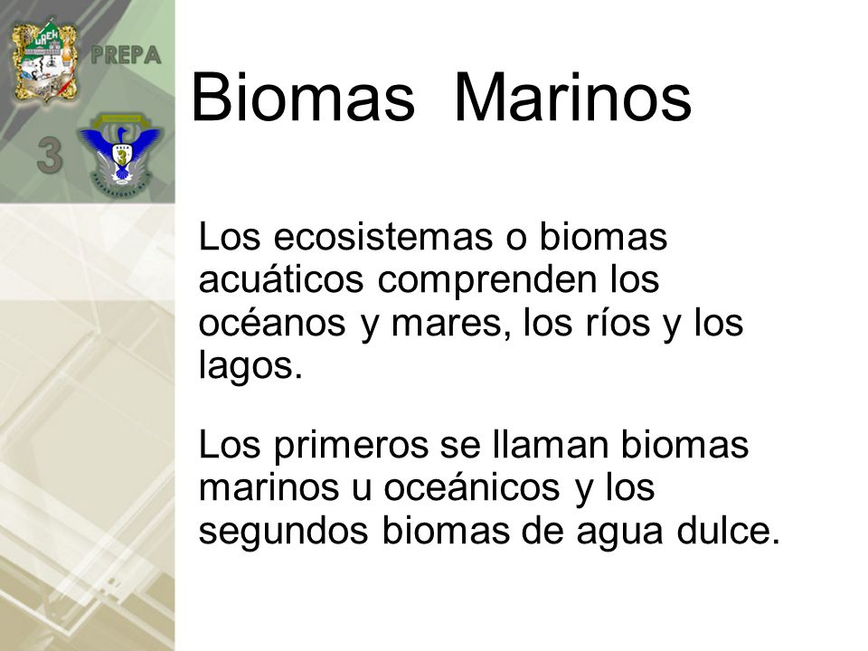 Biomas Marinos Los ecosistemas o biomas acuáticos comprenden los océanos y mares, los ríos y los lagos.