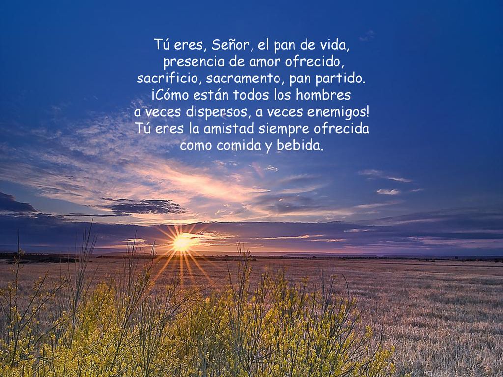Tú eres, Señor, el pan de vida, presencia de amor ofrecido,