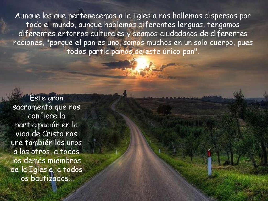 Aunque los que pertenecemos a la Iglesia nos hallemos dispersos por todo el mundo, aunque hablemos diferentes lenguas, tengamos diferentes entornos culturales y seamos ciudadanos de diferentes naciones, porque el pan es uno, somos muchos en un solo cuerpo, pues todos participamos de este único pan .