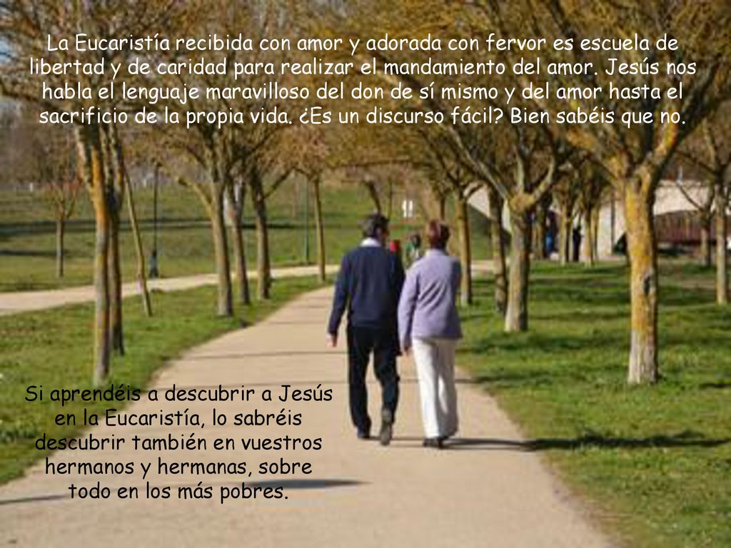 La Eucaristía recibida con amor y adorada con fervor es escuela de libertad y de caridad para realizar el mandamiento del amor. Jesús nos habla el lenguaje maravilloso del don de sí mismo y del amor hasta el sacrificio de la propia vida. ¿Es un discurso fácil Bien sabéis que no.