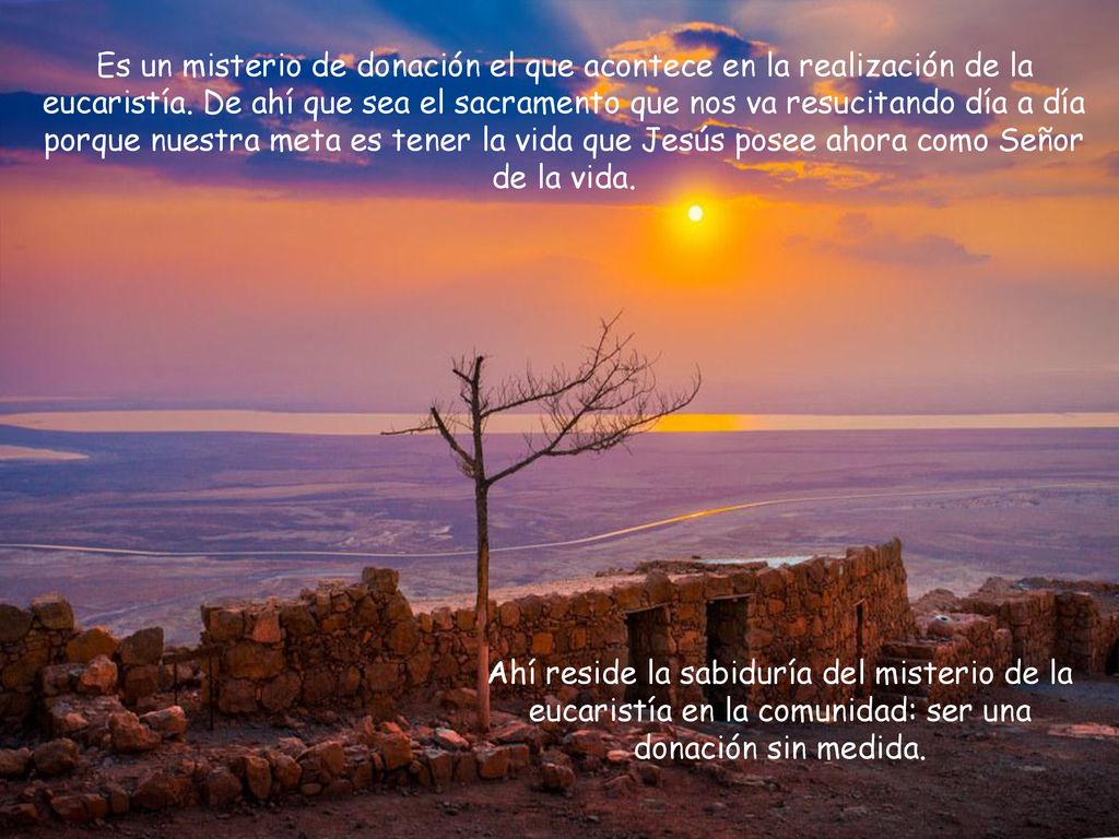 Es un misterio de donación el que acontece en la realización de la eucaristía. De ahí que sea el sacramento que nos va resucitando día a día porque nuestra meta es tener la vida que Jesús posee ahora como Señor de la vida.