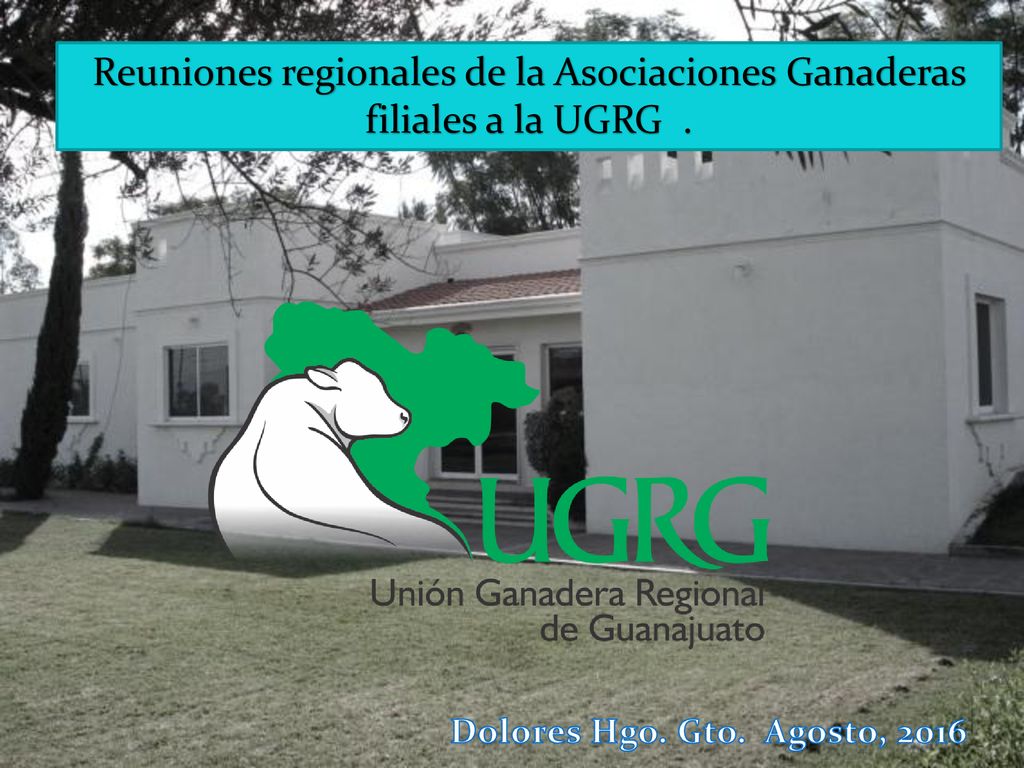 Reuniones regionales de la Asociaciones Ganaderas filiales a la UGRG .