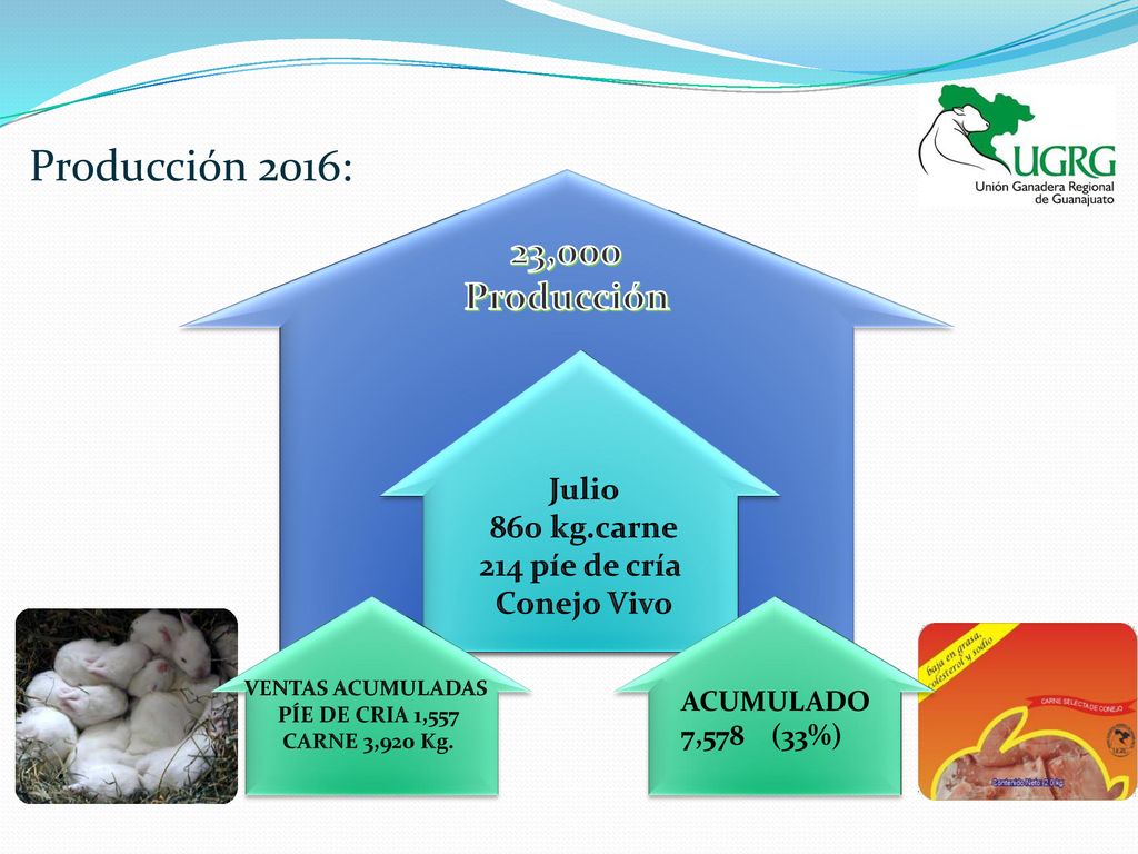 Producción 2016: 23,000 Producción Julio 860 kg.carne 214 píe de cría