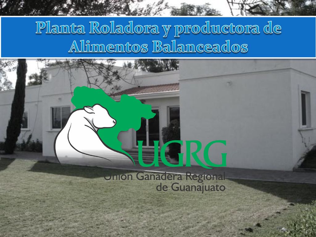 Planta Roladora y productora de Alimentos Balanceados
