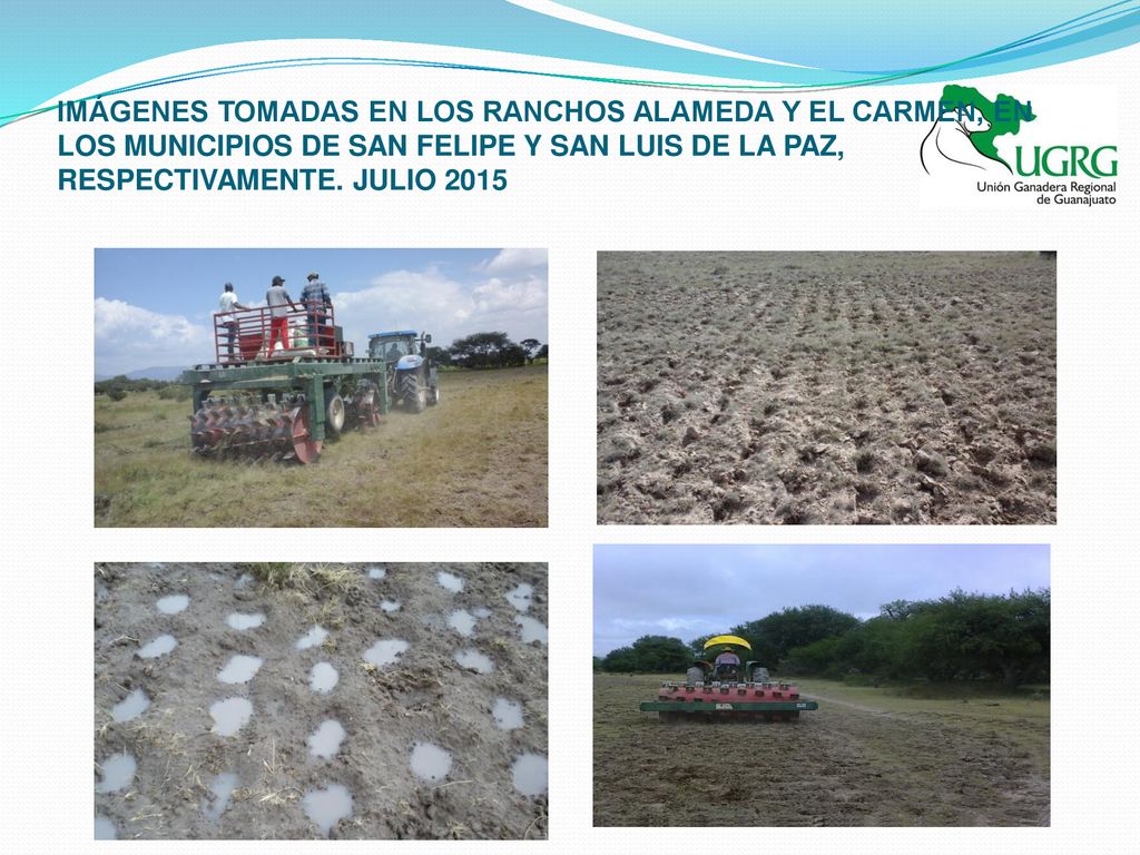 IMÁGENES TOMADAS EN LOS RANCHOS ALAMEDA Y EL CARMEN, EN LOS MUNICIPIOS DE SAN FELIPE Y SAN LUIS DE LA PAZ, RESPECTIVAMENTE.