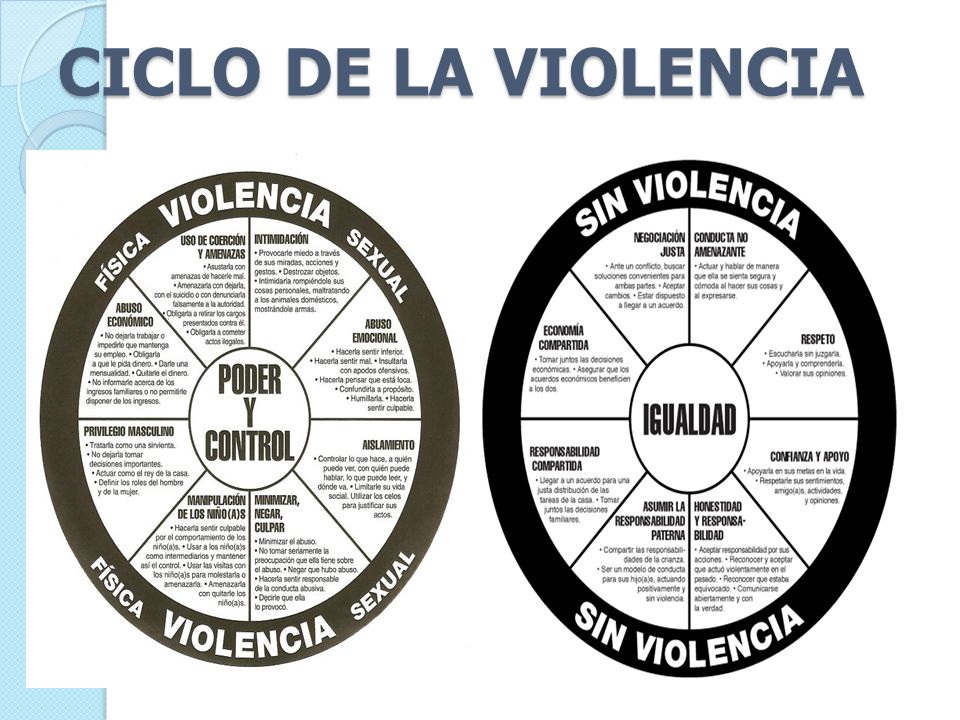CICLO DE LA VIOLENCIA