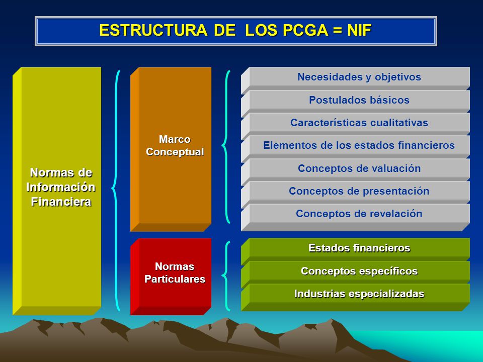 ESTRUCTURA DE LOS PCGA = NIF