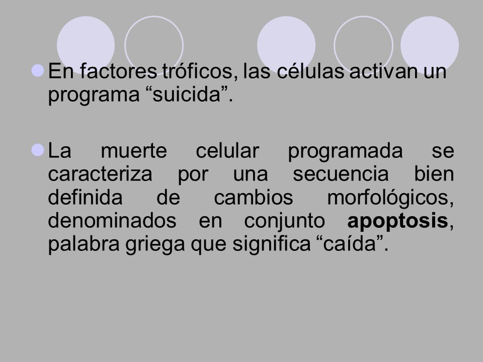 En factores tróficos, las células activan un programa suicida .
