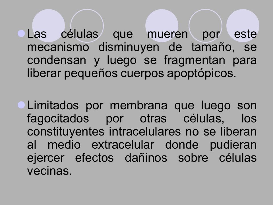 Las células que mueren por este mecanismo disminuyen de tamaño, se condensan y luego se fragmentan para liberar pequeños cuerpos apoptópicos.