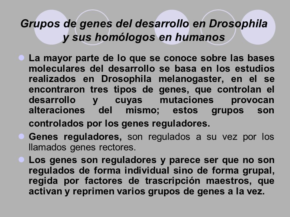 Grupos de genes del desarrollo en Drosophila y sus homólogos en humanos