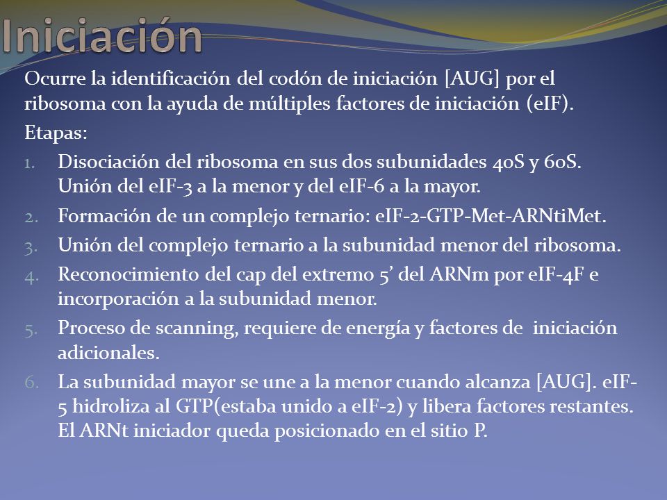 Iniciación Ocurre la identificación del codón de iniciación [AUG] por el ribosoma con la ayuda de múltiples factores de iniciación (eIF).