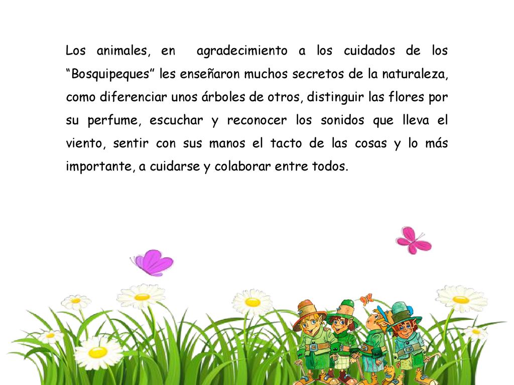 Los animales, en agradecimiento a los cuidados de los Bosquipeques les enseñaron muchos secretos de la naturaleza, como diferenciar unos árboles de otros, distinguir las flores por su perfume, escuchar y reconocer los sonidos que lleva el viento, sentir con sus manos el tacto de las cosas y lo más importante, a cuidarse y colaborar entre todos.