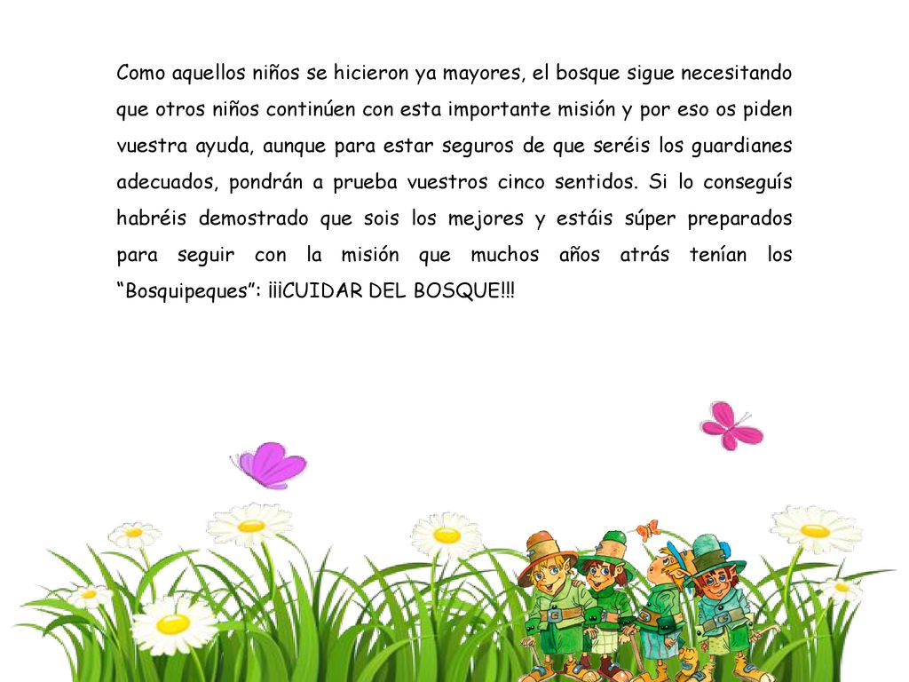 Como aquellos niños se hicieron ya mayores, el bosque sigue necesitando que otros niños continúen con esta importante misión y por eso os piden vuestra ayuda, aunque para estar seguros de que seréis los guardianes adecuados, pondrán a prueba vuestros cinco sentidos.